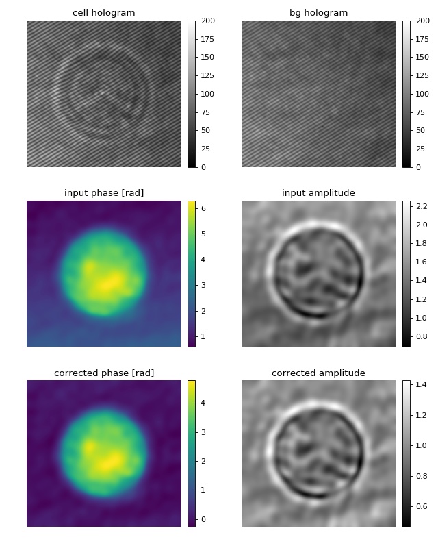 _images/hologram_cell.jpg