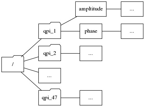 graph example {
    node [shape="folder"];
    graph [rankdir=LR, center=1];
    QPSeries [label="/"]
    qp1 [label="qpi_1"]
    qp2 [label="qpi_2"]
    a1 [shape="box", label=ampltitude];
    a2 [shape="box", label=phase];
    d0 [shape="box", label="..."];
    d1 [shape="box", label="..."];
    d2 [shape="box", label="..."];
    d3 [shape="box", label="..."];
    d4 [shape="box", label="..."];
    qp3 [label="qpi_47"]
    QPSeries -- qp1;
    qp1 -- a1;
    qp1 -- a2;
    a1 -- d0;
    a2 -- d1;
    QPSeries -- qp2;
    qp2 -- d2;
    QPSeries -- d4;
    QPSeries -- qp3;
    qp3 -- d3;
}